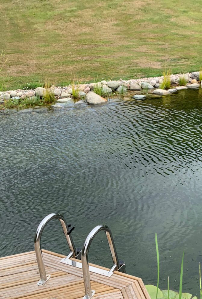 swim pond