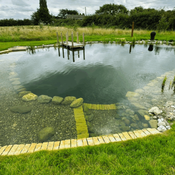 swim pond problems