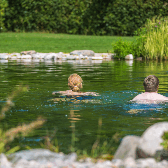 swimming pond ideas