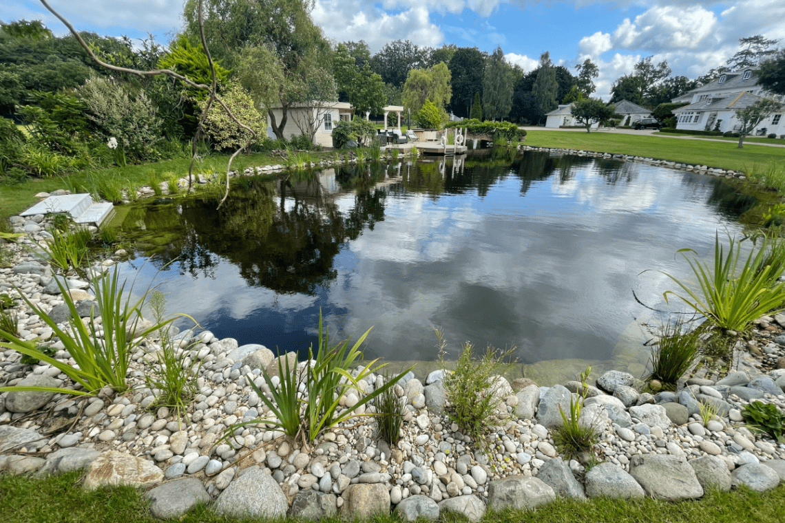 Swimming Pond