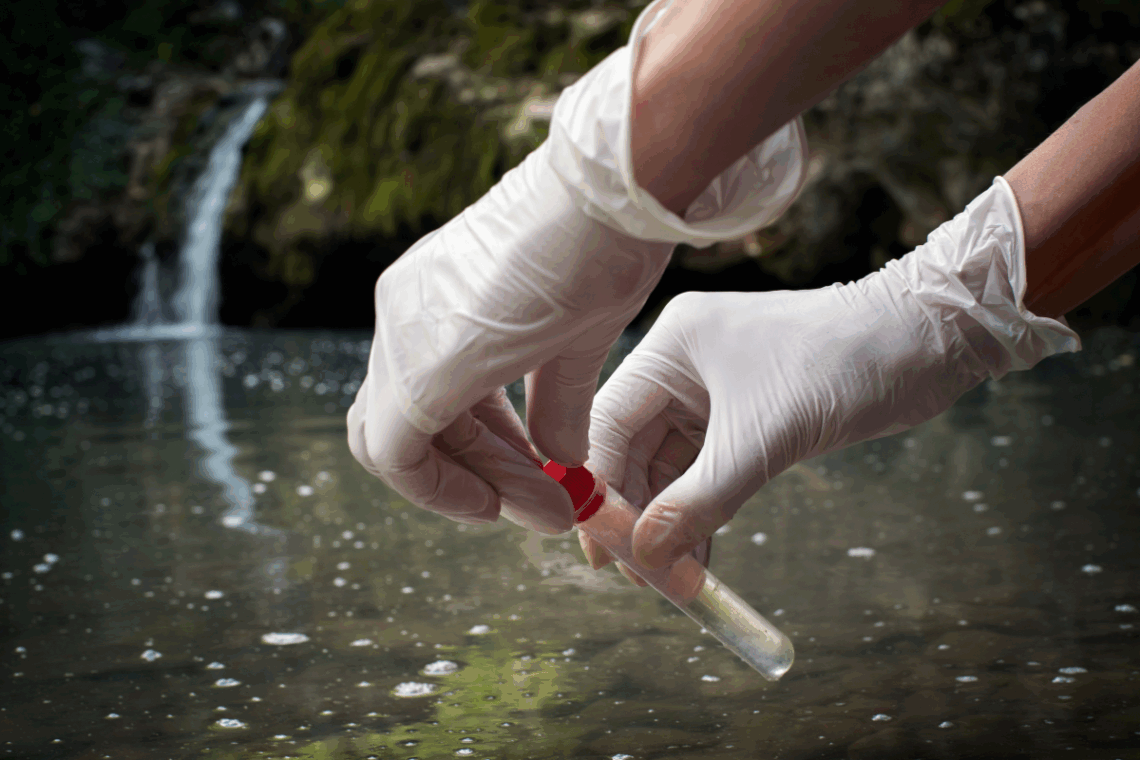 How to Test Pond Water in 4 Easy Steps 2 taking sample of pond water