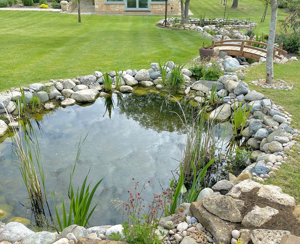 Wildlife Pond Bridge